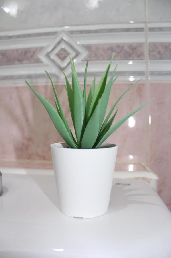 מאלגה Nice And New Studio Very Close To The City Center 2ºa מראה חיצוני תמונה